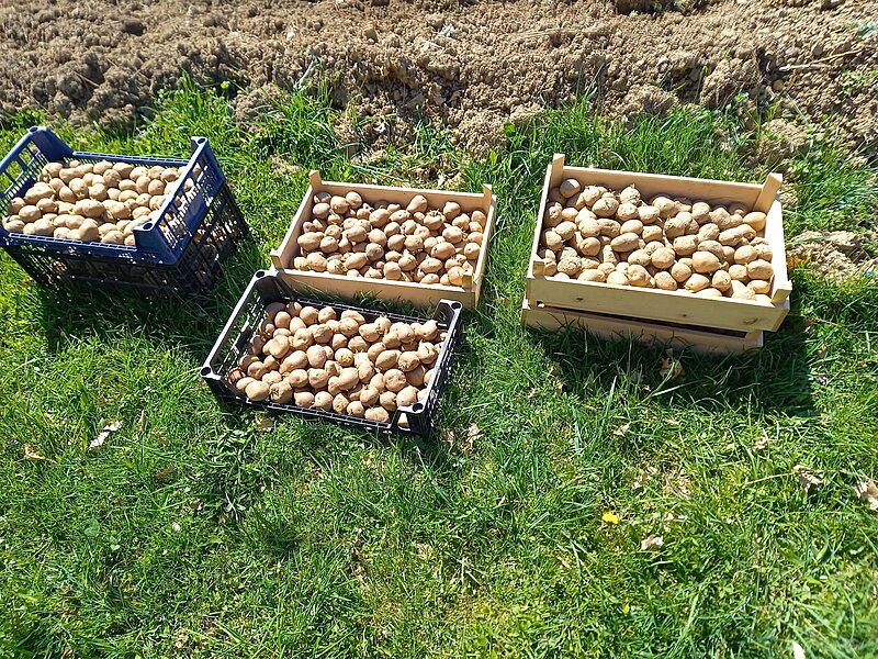 Натиснете снимката за да я уголемите

Име:Messenger_creation_279B04AB-9D67-476C-AD07-59CA13CE2750.jpeg
Прегледи:6
Размер:986.4 КБ
ID:7035964