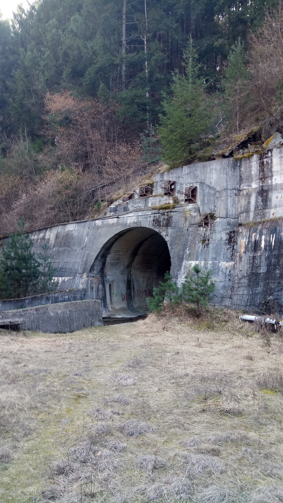 Натиснете снимката за да я уголемите

Име:IMG_20220319_130323.jpg
Прегледи:16
Размер:1.16 МБ
ID:7036475
