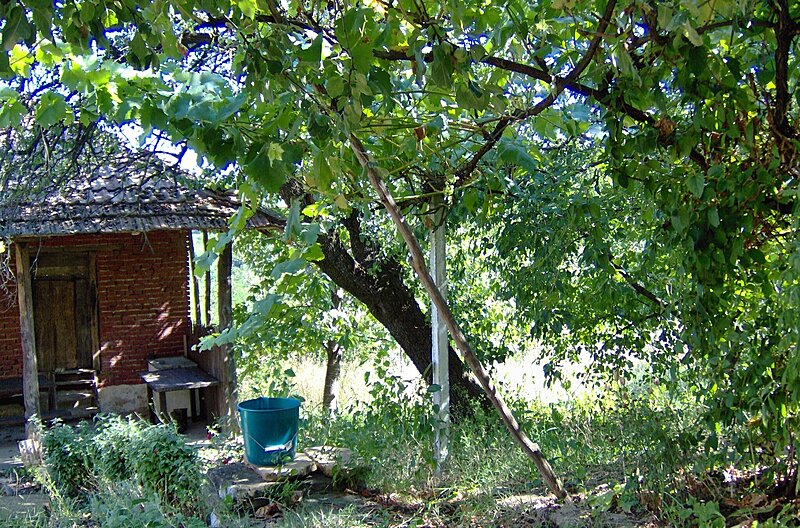 Натиснете снимката за да я уголемите

Име:1.JPG
Прегледи:0
Размер:909.9 КБ
ID:7036809