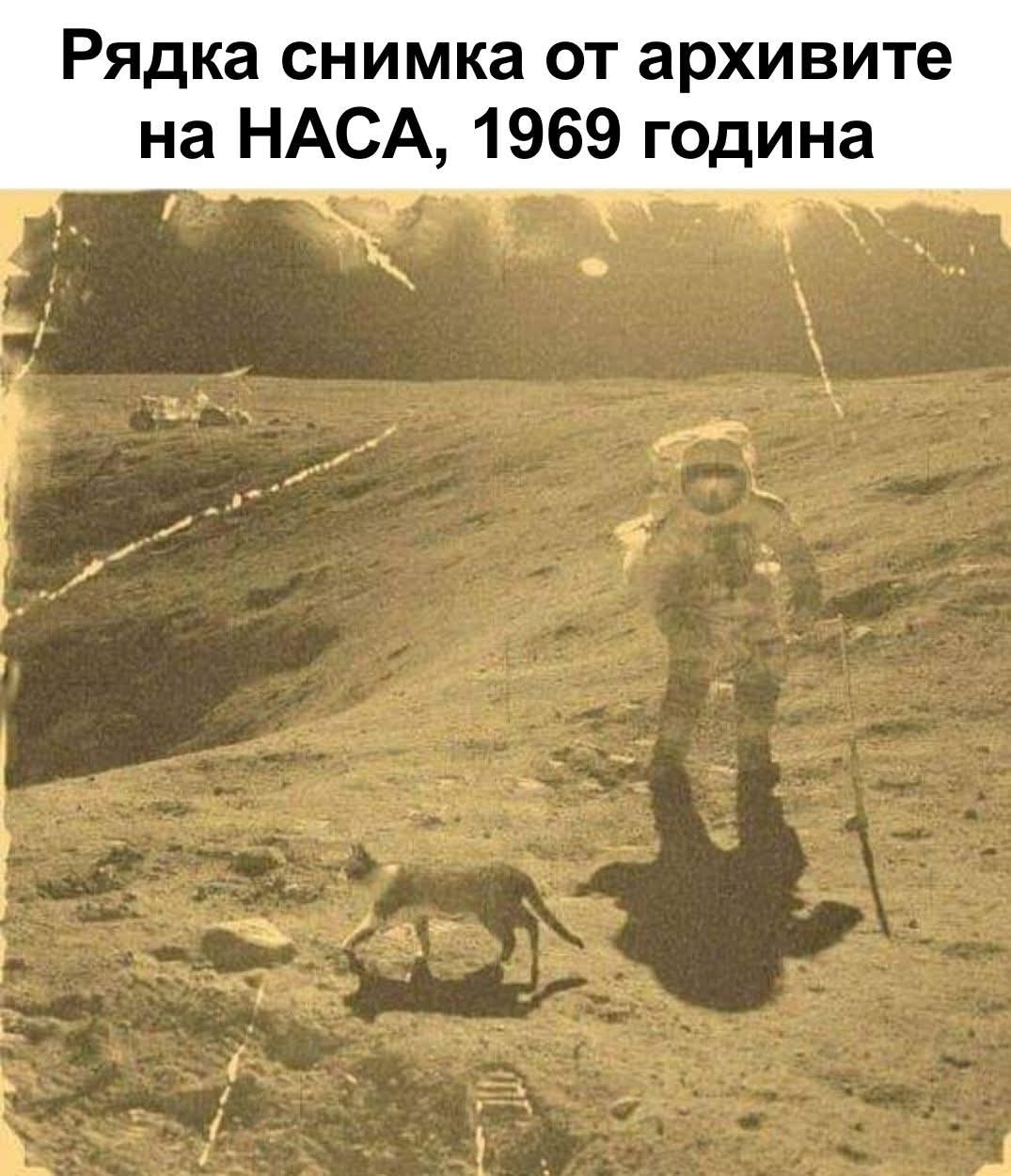 Натиснете снимката за да я уголемите

Име:IMG-f58e39dabcb49f2ffd09ea39fbe2f86f-V.jpg
Прегледи:55
Размер:165.9 КБ
ID:7036912
