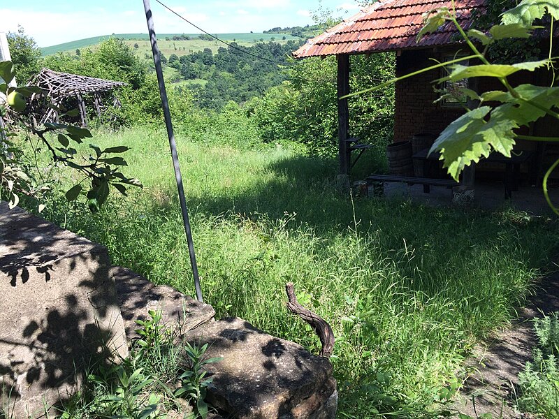 Натиснете снимката за да я уголемите  Име:3.JPG Прегледи:0 Размер:1.03 МБ ID:7036931