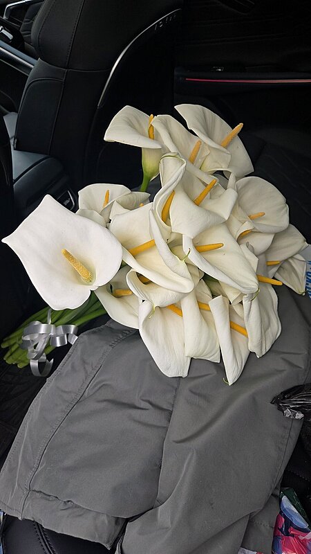 Натиснете снимката за да я уголемите

Име:20260429_175706.jpg
Прегледи:0
Размер:275.9 КБ
ID:7037572