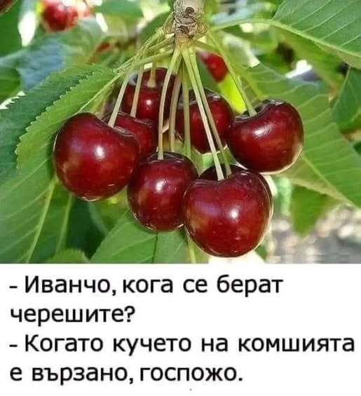 Натиснете снимката за да я уголемите

Име:698719614_26909883928670863_8547077581842863676_n.jpg
Прегледи:0
Размер:35.3 КБ
ID:7039323