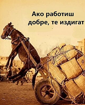 Натиснете снимката за да я уголемите

Име:701811573_10231051462819258_8059131082918363592_n.jpg
Прегледи:48
Размер:85.5 КБ
ID:7039879