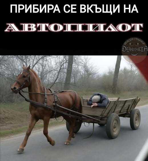 Натиснете снимката за да я уголемите

Име:539451348_1210573161113245_758485237289686571_n.jpg
Прегледи:39
Размер:32.3 КБ
ID:7040023