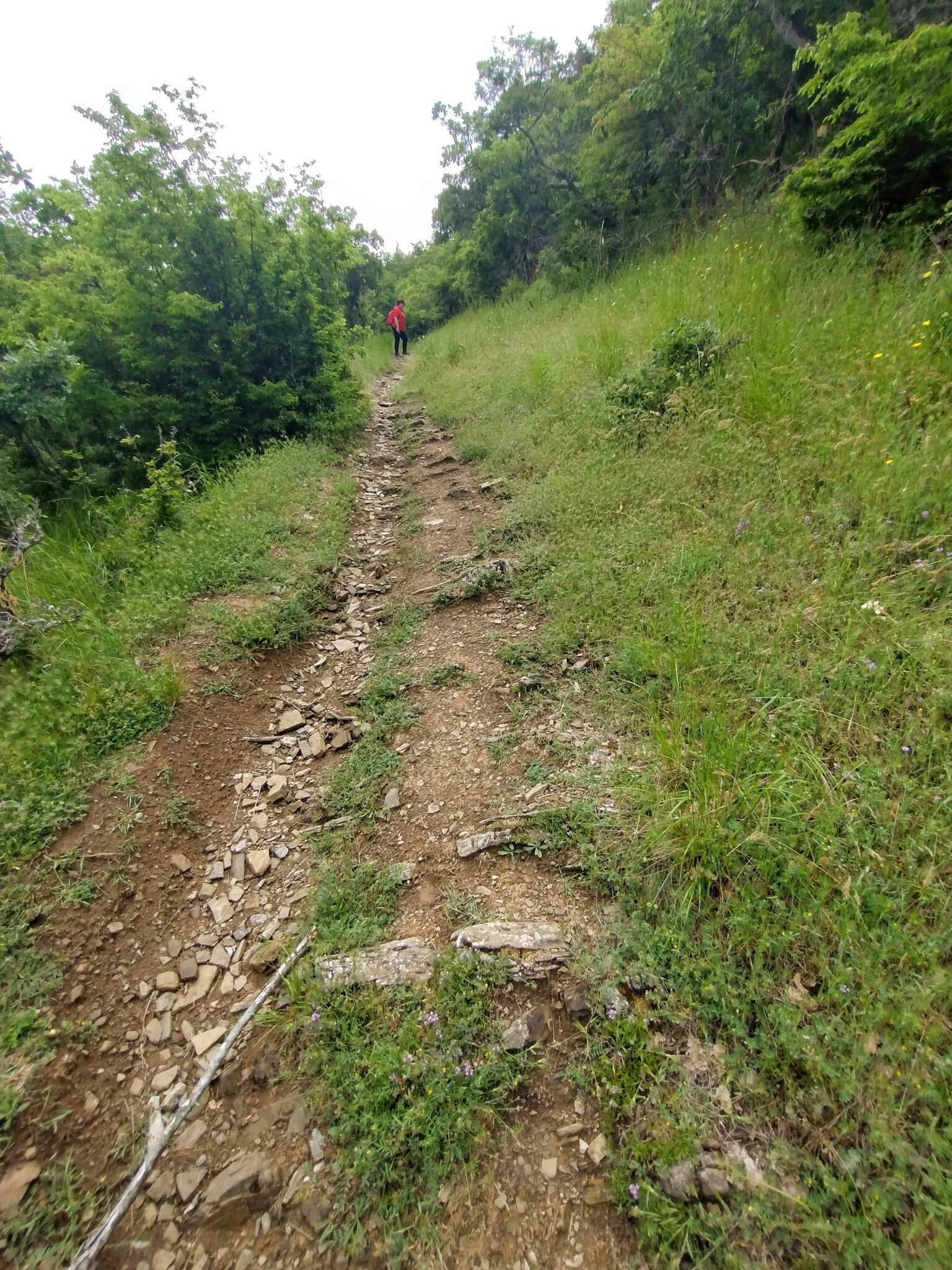 Натиснете снимката за да я уголемите

Име:Path.jpg
Прегледи:114
Размер:947.8 КБ
ID:7040458