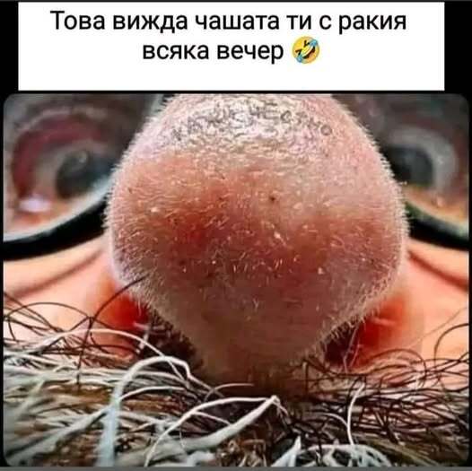Натиснете снимката за да я уголемите

Име:561309666_1346432373525440_4200757717156784208_n.jpg
Прегледи:11
Размер:36.1 КБ
ID:7040523
