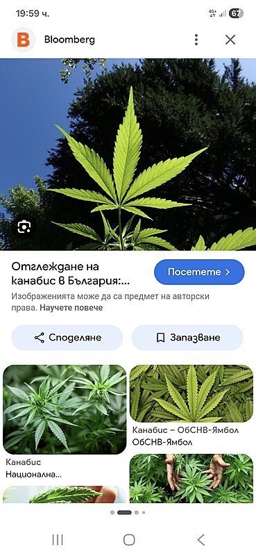 Натиснете снимката за да я уголемите  Име:Screenshot_20260610_195921_Google.jpg Прегледи:0 Размер:283.1 КБ ID:7042325