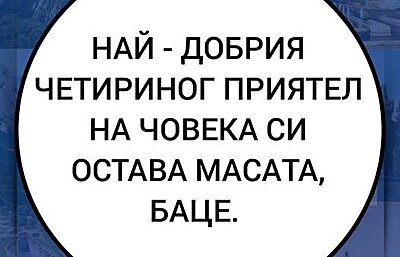 Натиснете снимката за да я уголемите

Име:719574146_27137290105955692_7708286186589504494_n.jpg
Прегледи:0
Размер:31.7 КБ
ID:7042430