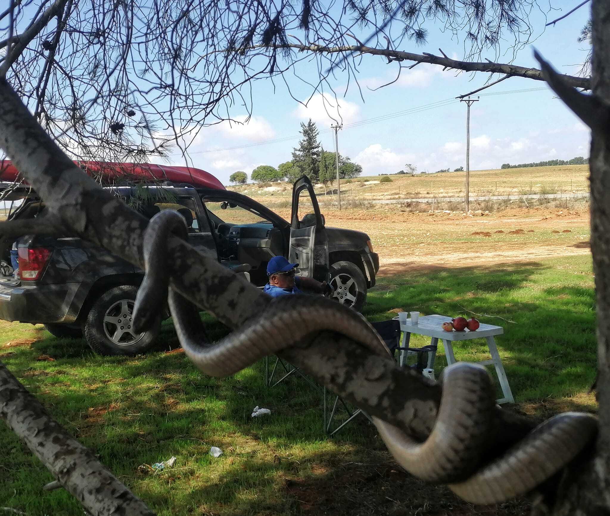 Натиснете снимката за да я уголемите

Име:SnakeJeep.jpg
Прегледи:54
Размер:393.5 КБ
ID:7042628
