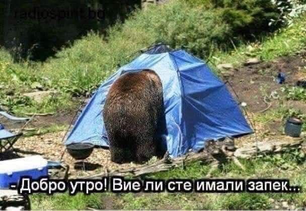 Натиснете снимката за да я уголемите

Име:525943674_122123908358908969_5648161125107568964_n.jpg
Прегледи:30
Размер:50.3 КБ
ID:7043318