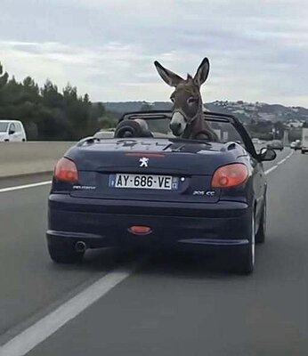 Натиснете снимката за да я уголемите

Име:727587085_1309622517908445_5265894296601229229_n.jpg
Прегледи:0
Размер:16.6 КБ
ID:7043479