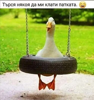 Натиснете снимката за да я уголемите

Име:731328386_122158586990968651_160030970138673301_n.jpg
Прегледи:39
Размер:26.7 КБ
ID:7044447