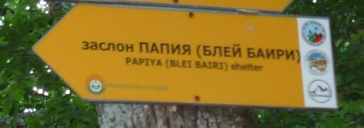 Натиснете снимката за да я уголемите

Име:P1000698.jpg
Прегледи:0
Размер:46.9 КБ
ID:7047653