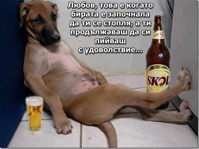 Натиснете снимката за да я уголемите

Име:1797582_10152167429760891_474338696_n.jpg
Прегледи:1
Размер:47.2 КБ
ID:5653490