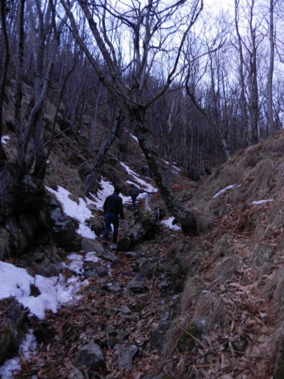 Натиснете снимката за да я уголемите

Име:402604_393347207349241_730243042_n.jpg
Прегледи:1
Размер:123.1 КБ
ID:5349533