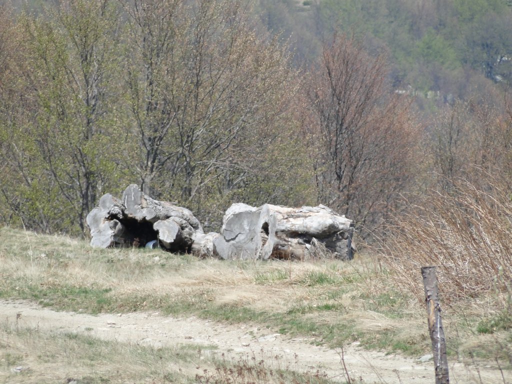 Натиснете снимката за да я уголемите

Име:DSC00104.jpg
Прегледи:1
Размер:220.1 КБ
ID:5477695