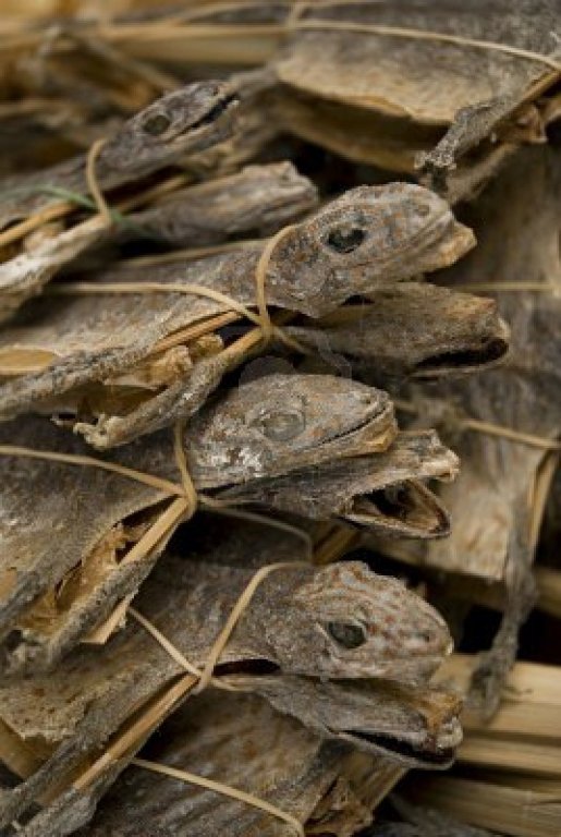 Натиснете снимката за да я уголемите

Име:9321260-dried-lizards-in-singapore.jpg
Прегледи:1
Размер:83.5 КБ
ID:5330756