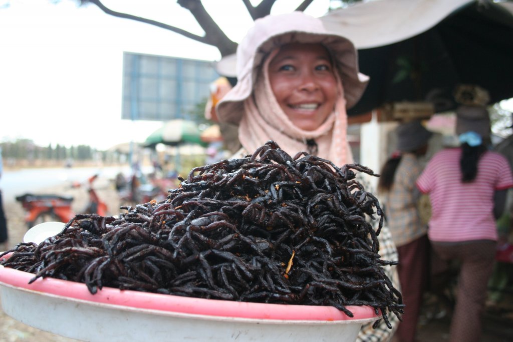 Натиснете снимката за да я уголемите

Име:Fried_spiders_Skuon_Cambodia.jpg
Прегледи:1
Размер:108.7 КБ
ID:5330760
