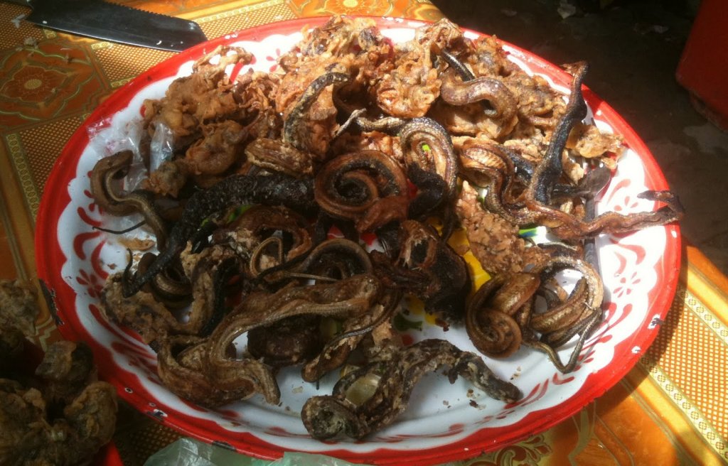 Натиснете снимката за да я уголемите

Име:fried snakes.jpg
Прегледи:1
Размер:153.3 КБ
ID:5330759