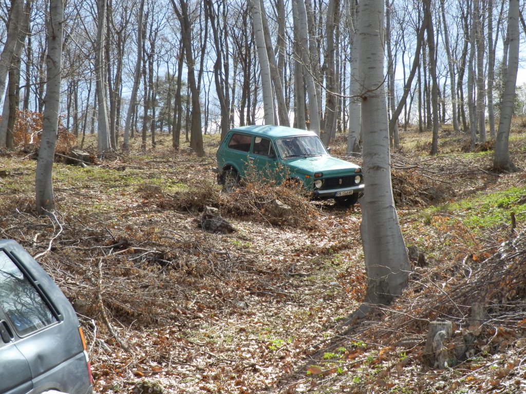Натиснете снимката за да я уголемите

Име:P3310020.jpg
Прегледи:3
Размер:323.3 КБ
ID:5360092