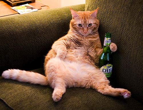 Натиснете снимката за да я уголемите

Име:beer-cat.jpg
Прегледи:1
Размер:53.0 КБ
ID:5197784