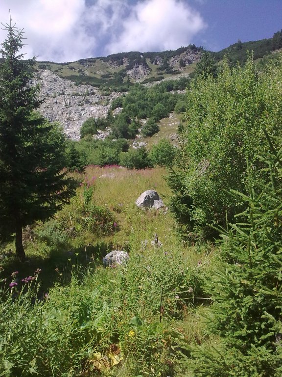 Натиснете снимката за да я уголемите

Име:Изображение0338.jpg
Прегледи:1
Размер:172.2 КБ
ID:5298614