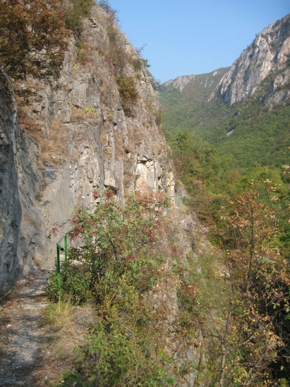 Натиснете снимката за да я уголемите

Име:IMG_1288.jpg
Прегледи:1
Размер:146.8 КБ
ID:5311205