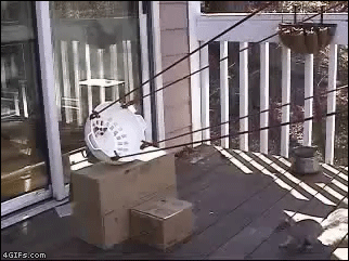 Натиснете снимката за да я уголемите

Име:1257696817_gif_10.gif
Прегледи:1
Размер:993.4 КБ
ID:5445714