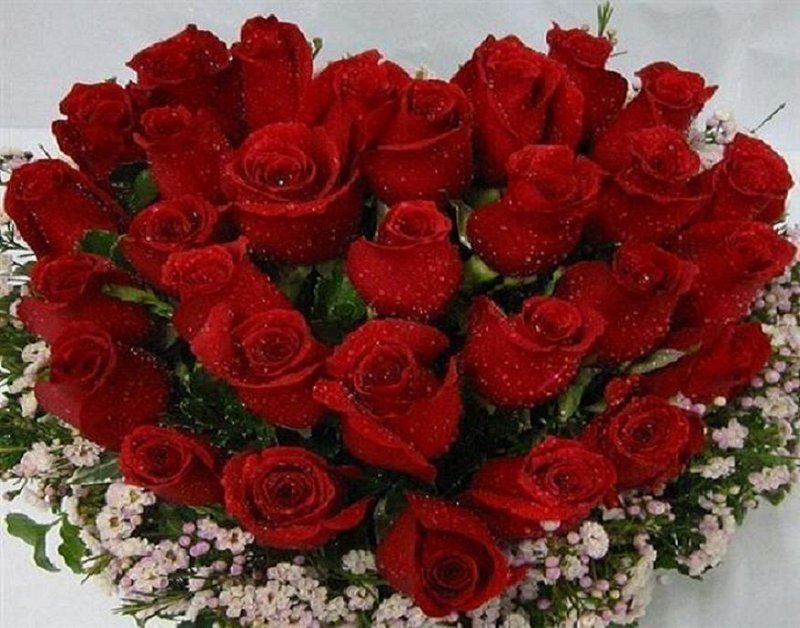 Натиснете снимката за да я уголемите

Име:4erven_buket_rozi_d19d0_29337633.jpg
Прегледи:2
Размер:100.2 КБ
ID:5703635