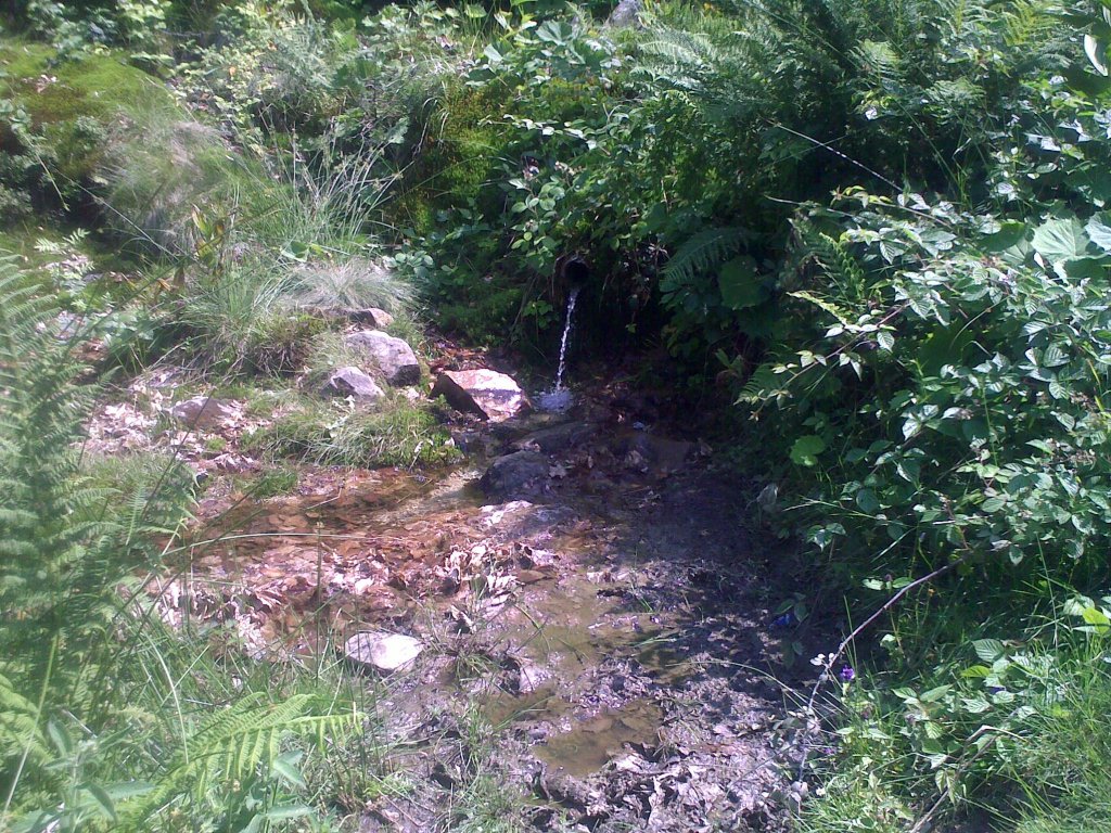 Натиснете снимката за да я уголемите

Име:080720121298.jpg
Прегледи:1
Размер:304.3 КБ
ID:5390399