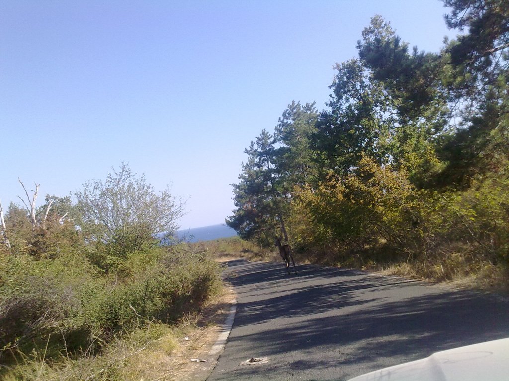 Натиснете снимката за да я уголемите

Име:080920122321.jpg
Прегледи:1
Размер:190.0 КБ
ID:5406920