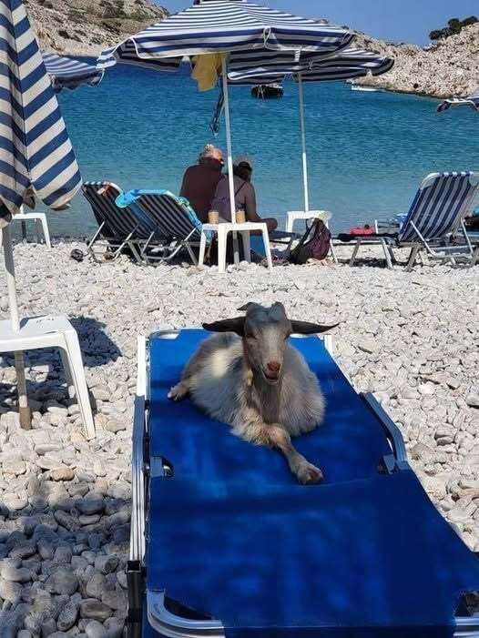 Натиснете снимката за да я уголемите

Име:758964617_28545604758374332_6202565474671723592_n.jpg
Прегледи:43
Размер:62.7 КБ
ID:7048183