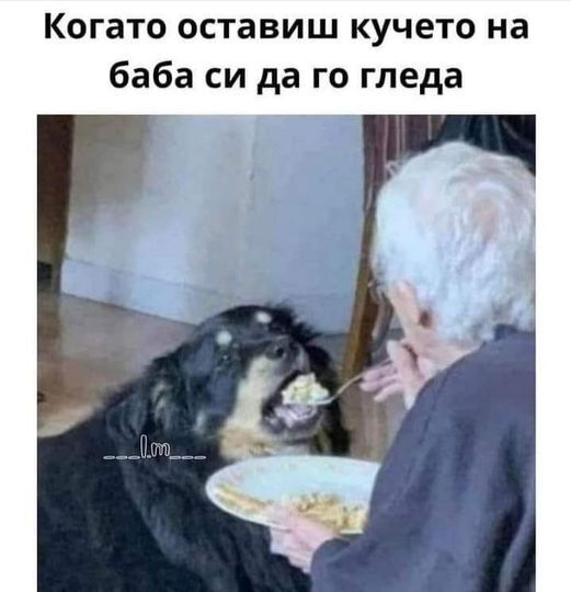 Натиснете снимката за да я уголемите

Име:461405259_966699228804875_9207920802387374141_n.jpg
Прегледи:99
Размер:35.1 КБ
ID:7048862