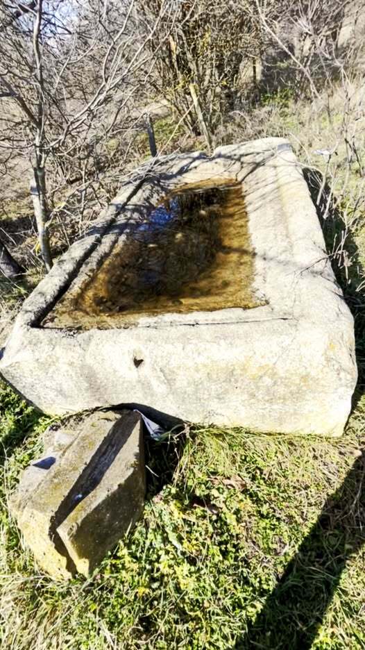 Натиснете снимката за да я уголемите

Име:772686011_122143559979149728_8695592731668182353_n.jpg
Прегледи:17
Размер:111.2 КБ
ID:7048955