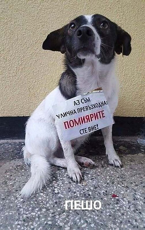Натиснете снимката за да я уголемите

Име:774761590_1051072684564877_2575862027295755346_n.jpg
Прегледи:76
Размер:68.5 КБ
ID:7049159