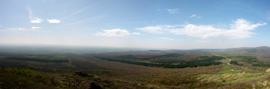 Натиснете снимката за да я уголемите

Име:PANO_20130413_111519_20130414001245868.jpg
Прегледи:1
Размер:49.8 КБ
ID:5470385
