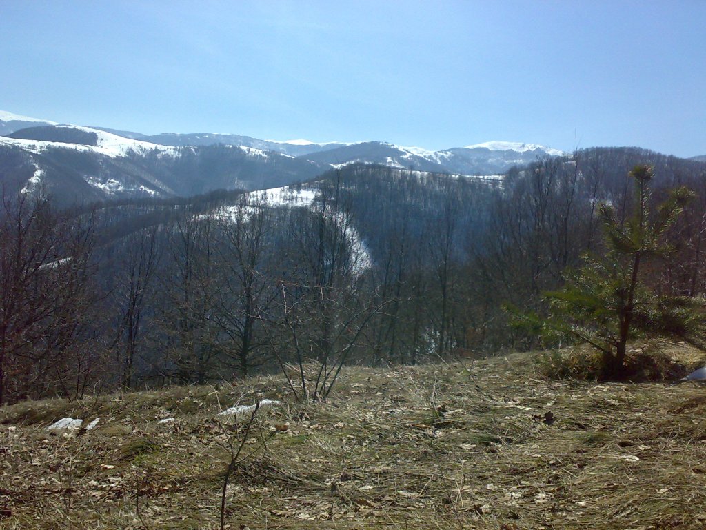 Натиснете снимката за да я уголемите

Име:13032011053.jpg
Прегледи:1
Размер:191.3 КБ
ID:5922348