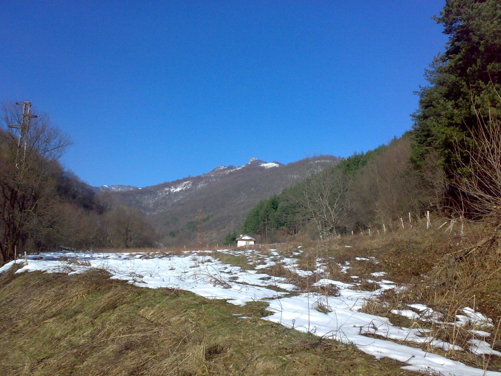 Натиснете снимката за да я уголемите

Име:13032011031.jpg
Прегледи:1
Размер:185.2 КБ
ID:5922353