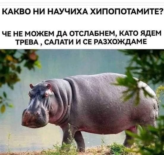 Натиснете снимката за да я уголемите

Име:image.png
Прегледи:323
Размер:397.9 КБ
ID:7050121
