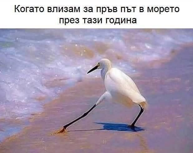 Натиснете снимката за да я уголемите

Име:image.png
Прегледи:20
Размер:281.3 КБ
ID:7051064