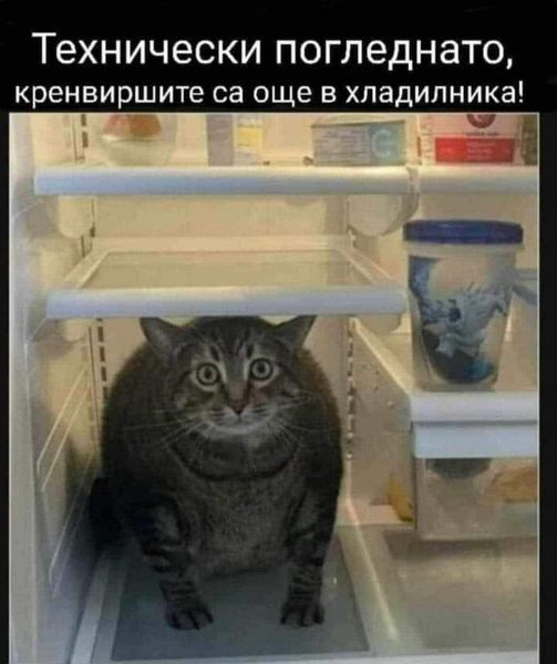 Натиснете снимката за да я уголемите

Име:450358036_872420314921221_4509852287788097936_n.jpg
Прегледи:193
Размер:41.0 КБ
ID:7051165