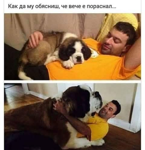 Натиснете снимката за да я уголемите

Име:image.png
Прегледи:83
Размер:262.3 КБ
ID:7053079
