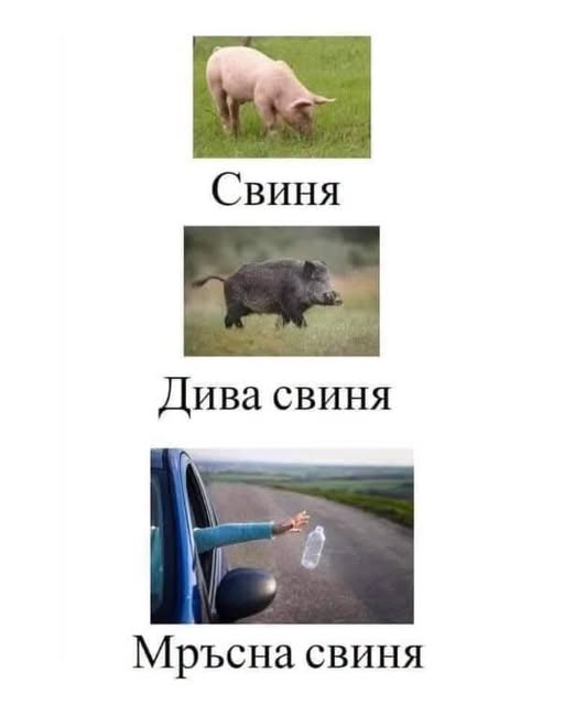 Натиснете снимката за да я уголемите

Име:image.png
Прегледи:151
Размер:162.3 КБ
ID:7053379
