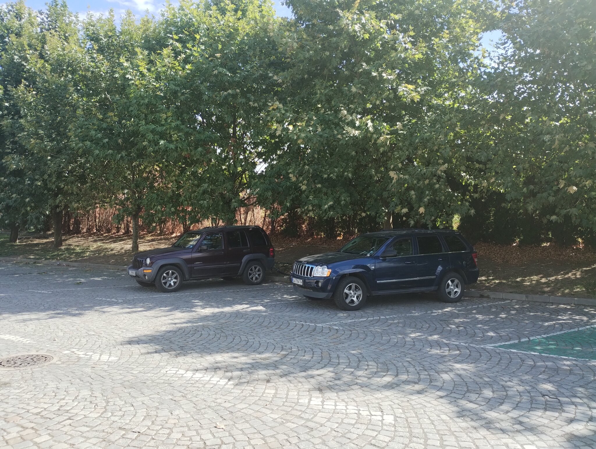 Натиснете снимката за да я уголемите

Име:IMG_20260922_130952876.jpg
Прегледи:26
Размер:963.0 КБ
ID:7053591