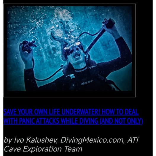 Click image for larger version  Name:	image.png Views:	5 Size:	279.6 KB ID:	7054874