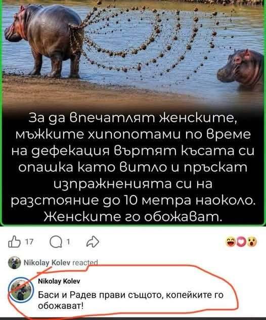 Натиснете снимката за да я уголемите

Име:870868053_1429843932025334_693960397998747096_n.jpg
Прегледи:122
Размер:50.2 КБ
ID:7055174