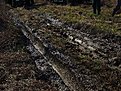 Натиснете снимката за да я уголемите

Име:IMG_1430.jpg
Прегледи:242
Размер:344.6 КБ
ID:5030998