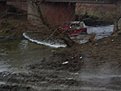 Натиснете снимката за да я уголемите

Име:IMG_1544.jpg
Прегледи:276
Размер:80.8 КБ
ID:5031009
