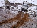 Натиснете снимката за да я уголемите

Име:402s.jpg
Прегледи:112
Размер:45.0 КБ
ID:5031534
